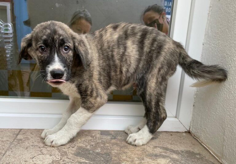 multimedia-foto77812-459-1