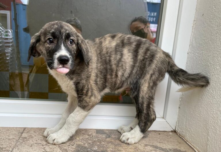 multimedia-foto77813-459-1