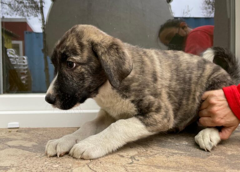 multimedia-foto77814-459-1