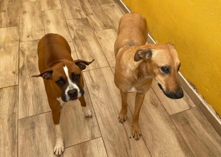 multimedia-foto77840-478-1