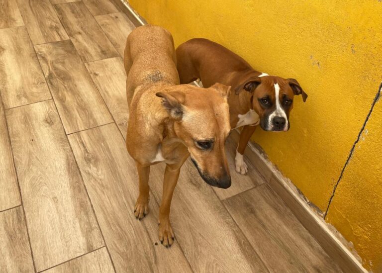 multimedia-foto77841-479-1