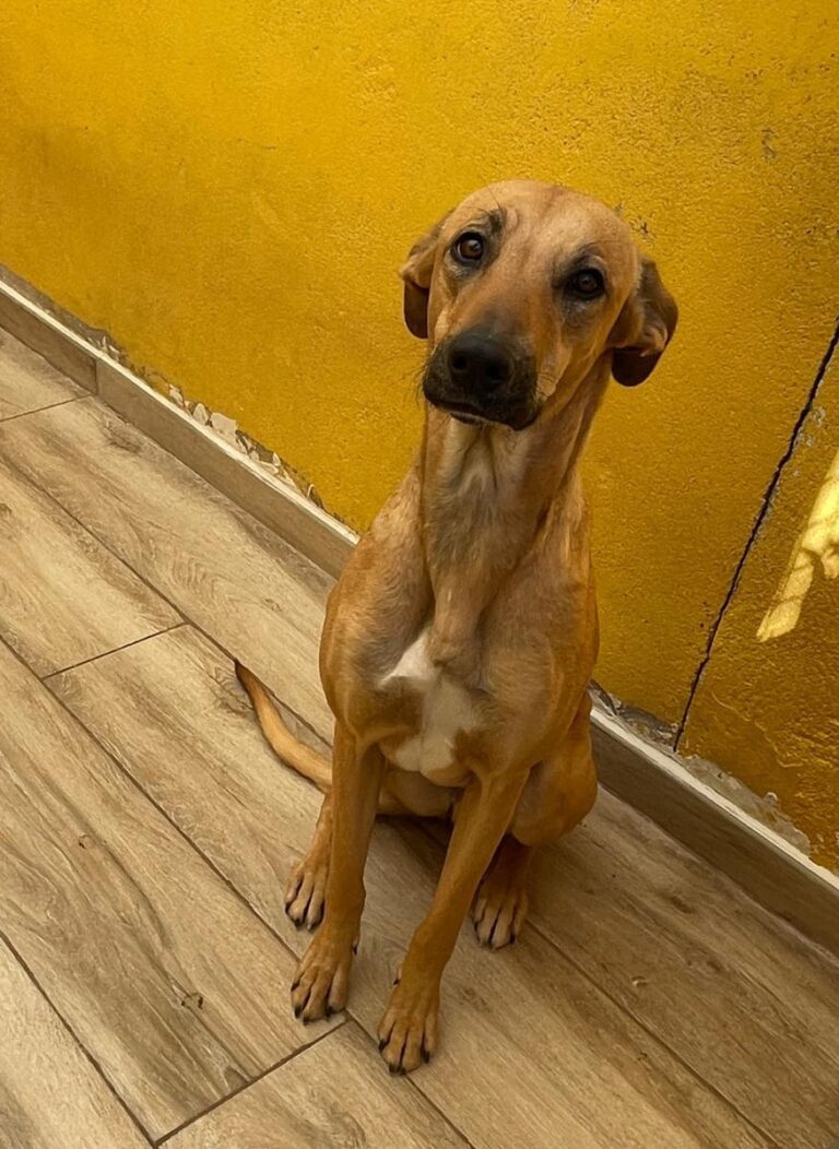 multimedia-foto77842-479-1