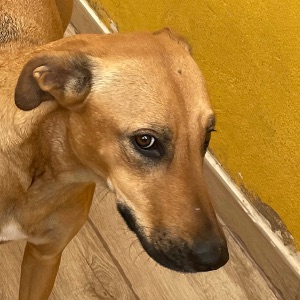 multimedia-foto77843-479-1