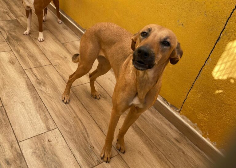 multimedia-foto77844-479-1