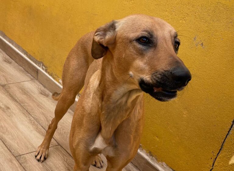 multimedia-foto77846-479-1