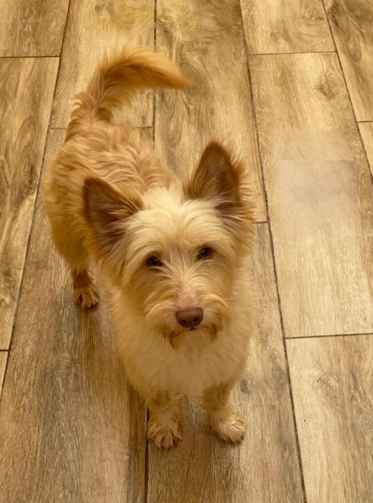 multimedia-foto77877-246-1