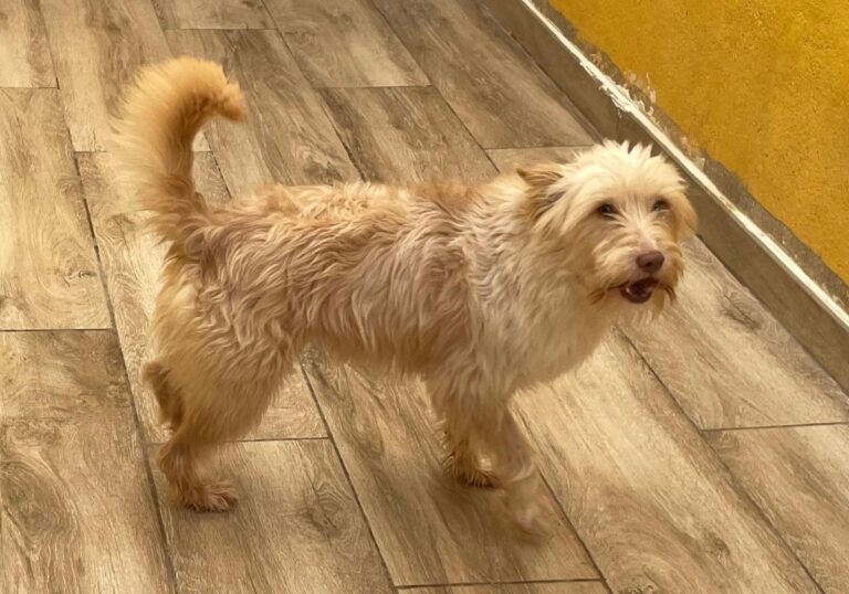 multimedia-foto77878-246-1