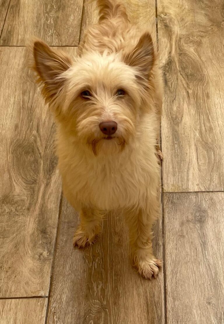 multimedia-foto77880-246-1