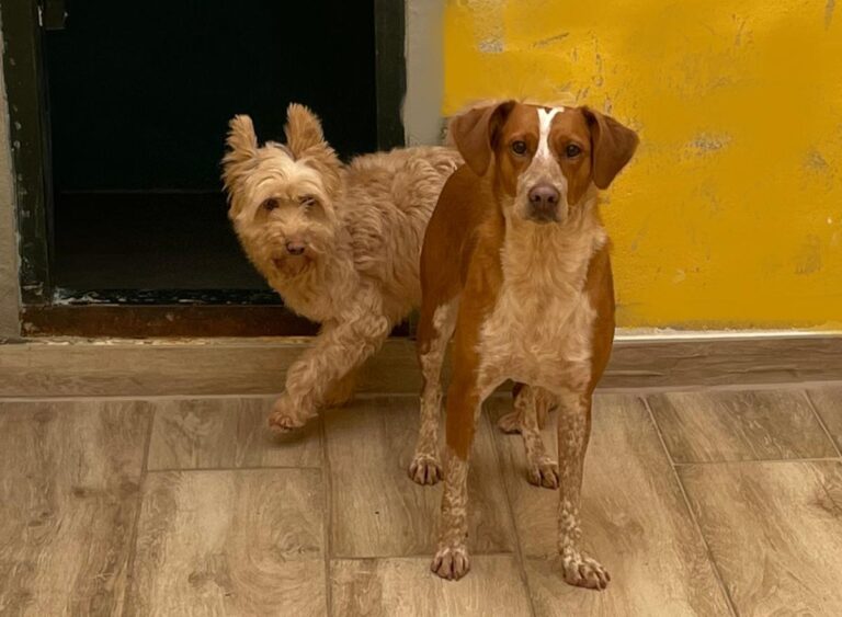 multimedia-foto77882-332-1