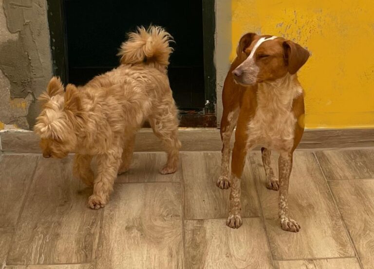 multimedia-foto77883-332-1