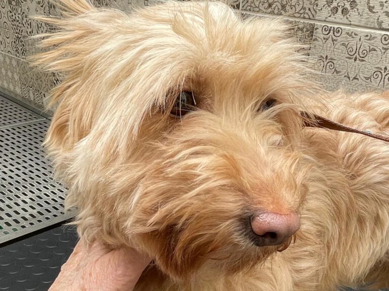 multimedia-foto77884-333-1