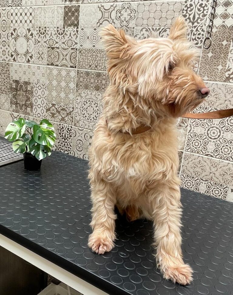 multimedia-foto77886-333-1