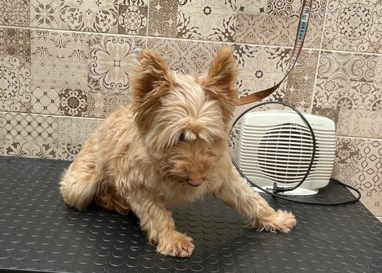 multimedia-foto77889-334-1