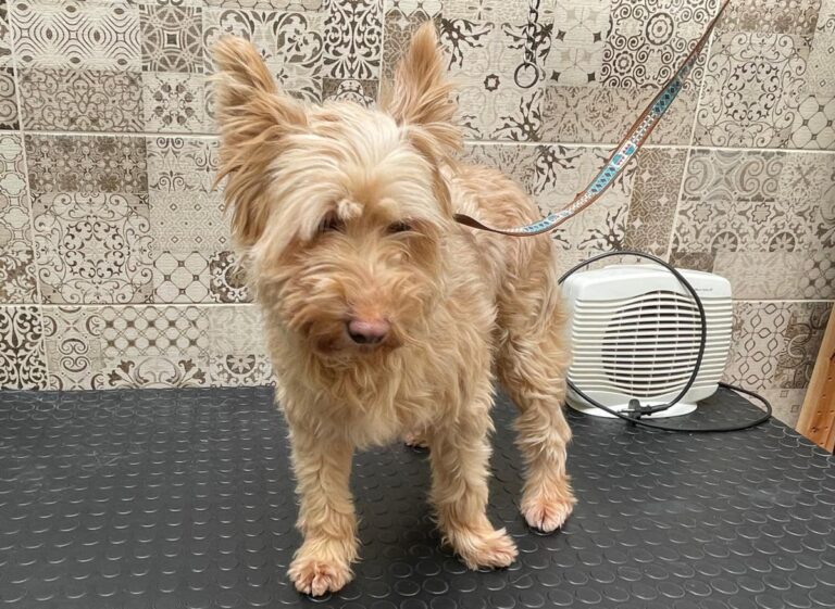 multimedia-foto77890-334-1