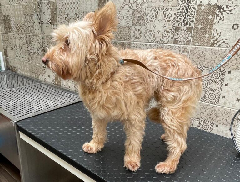 multimedia-foto77891-334-1