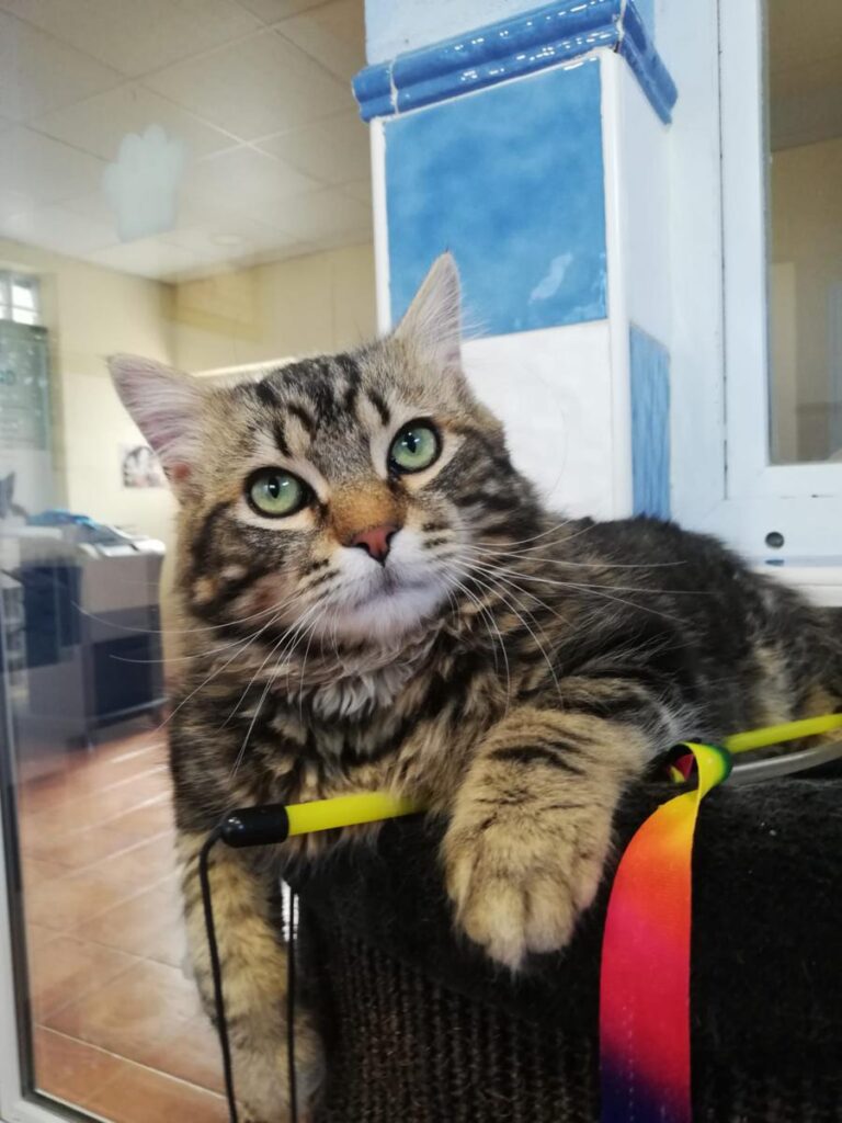 multimedia-foto77895-284-1