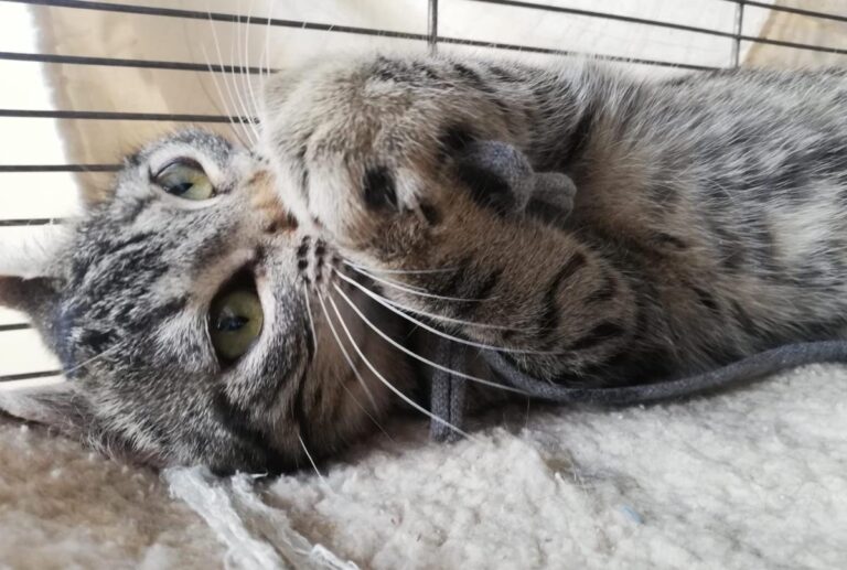 multimedia-foto77903-440-1