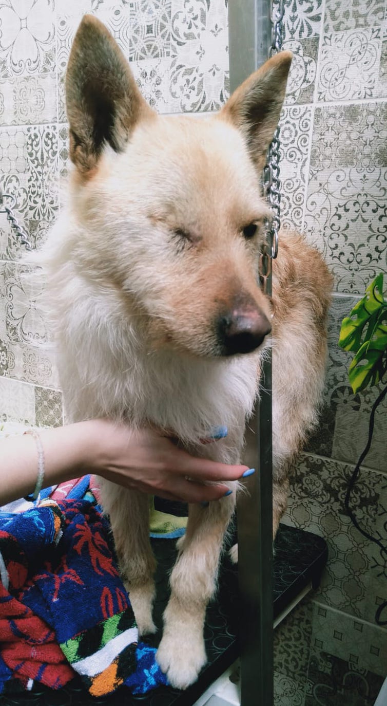 multimedia-foto77919-612-1