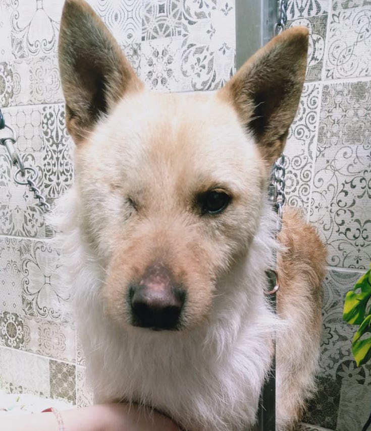 multimedia-foto77920-612-1