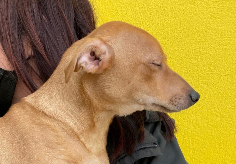 multimedia-foto77921-256-1