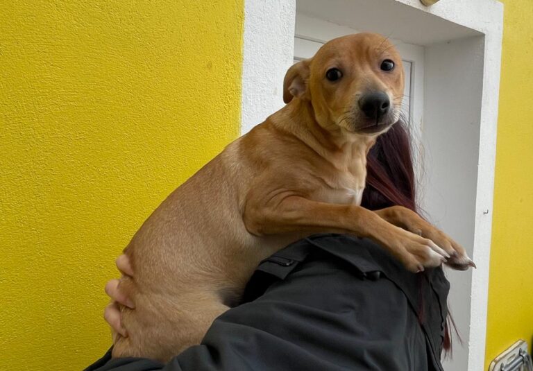 multimedia-foto77922-256-1