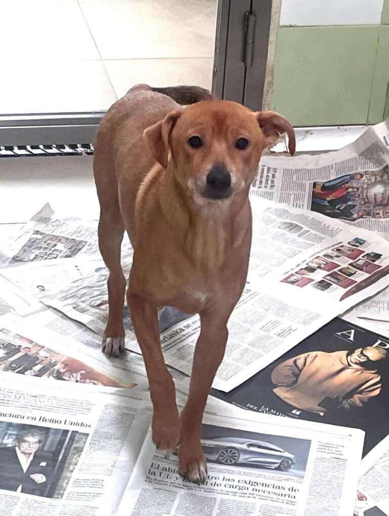 multimedia-foto77924-256-1