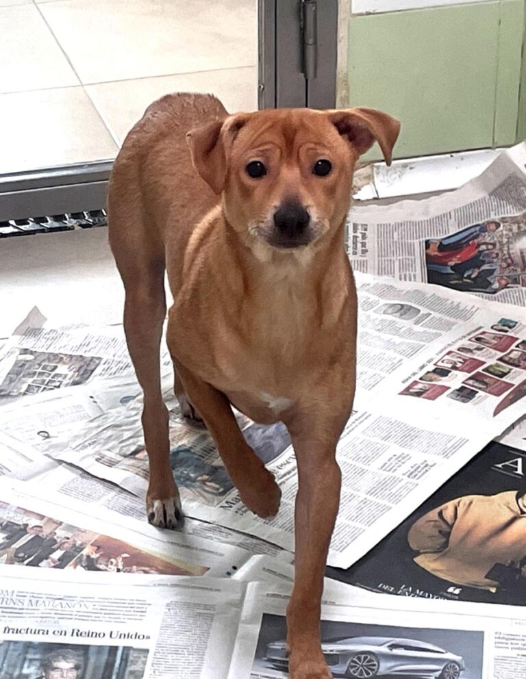 multimedia-foto77925-257-1