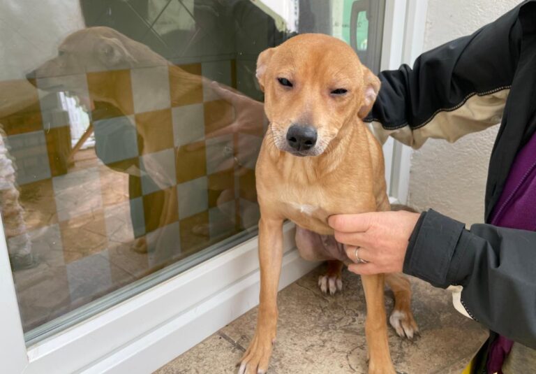 multimedia-foto77926-257-1