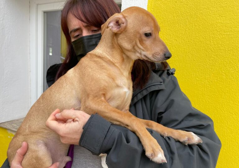 multimedia-foto77927-257-1