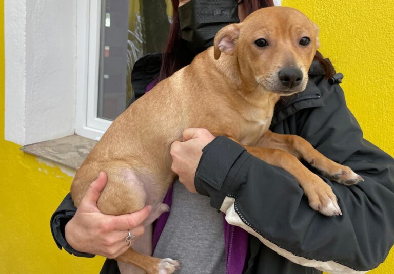 multimedia-foto77928-257-1