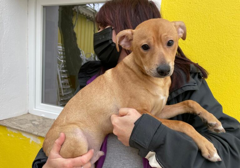 multimedia-foto77929-257-1