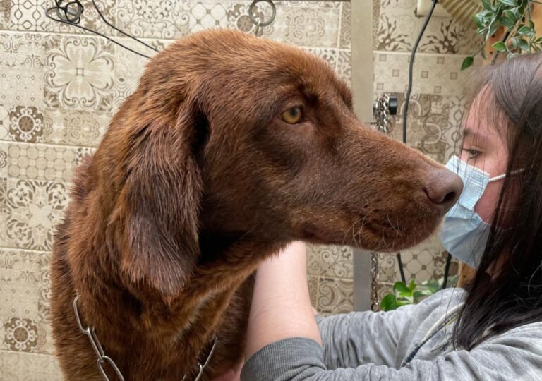 multimedia-foto77930-466-1