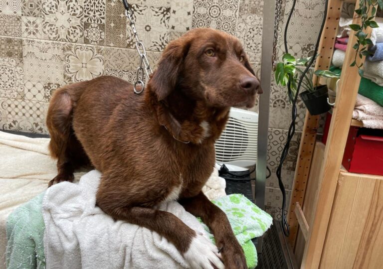 multimedia-foto77931-466-1