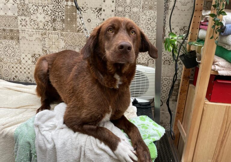 multimedia-foto77932-466-1