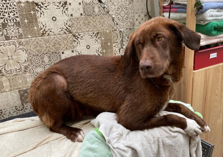 multimedia-foto77933-466-1