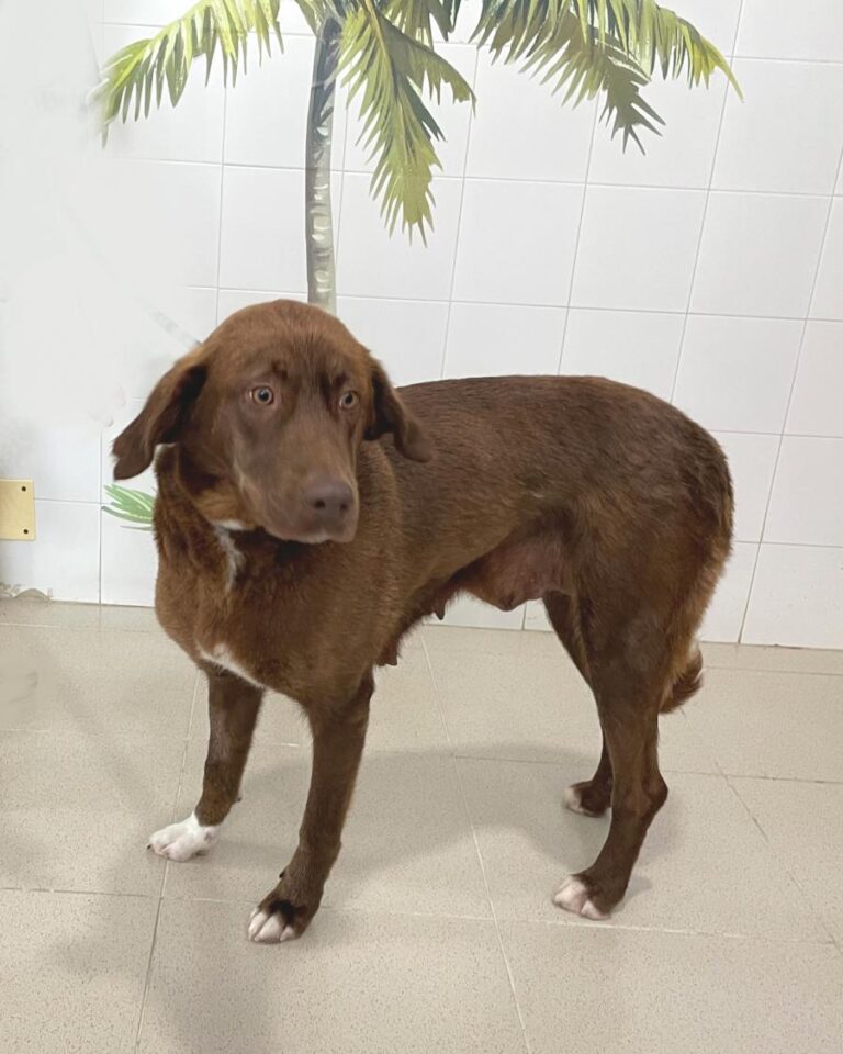 multimedia-foto77935-467-1