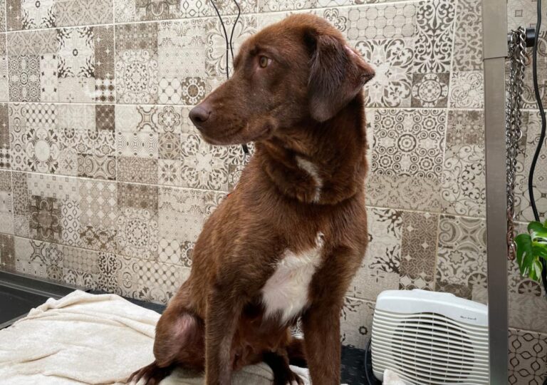 multimedia-foto77936-467-1