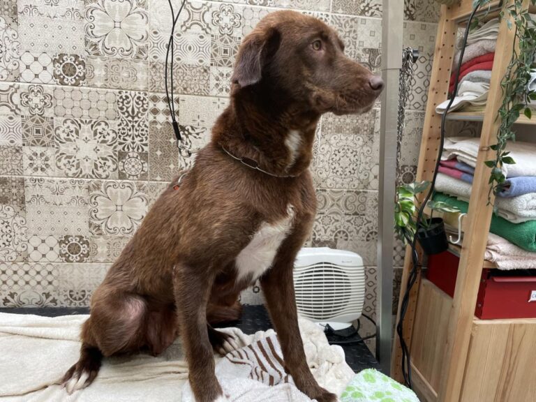 multimedia-foto77937-467-1