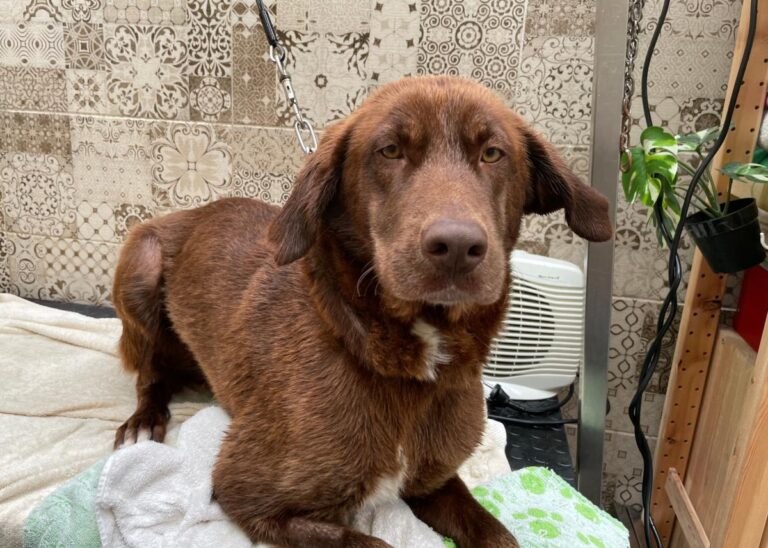 multimedia-foto77938-467-1