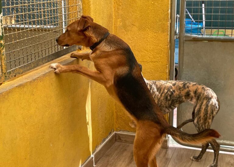 multimedia-foto77947-8-1