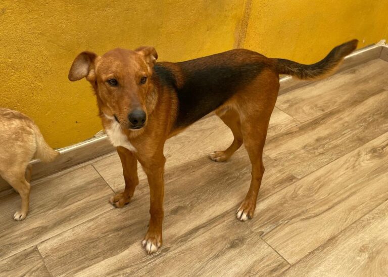 multimedia-foto77948-8-1