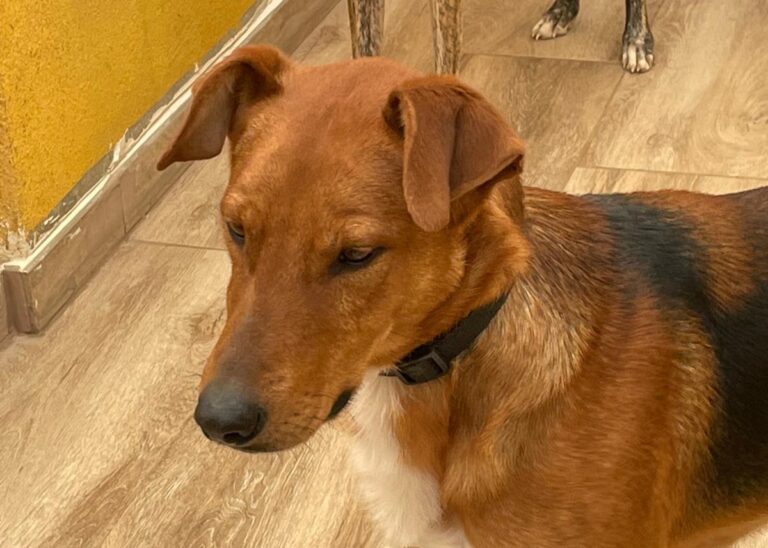 multimedia-foto77949-8-1