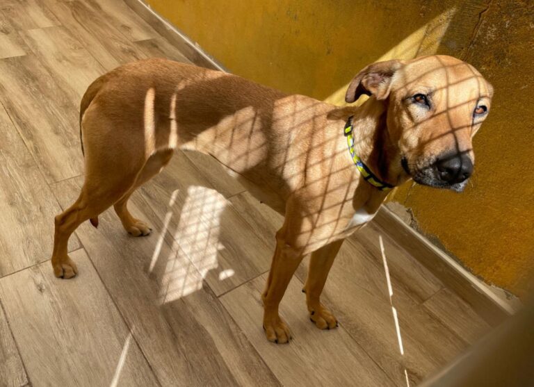 multimedia-foto77963-994-1