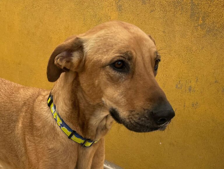 multimedia-foto77964-994-1