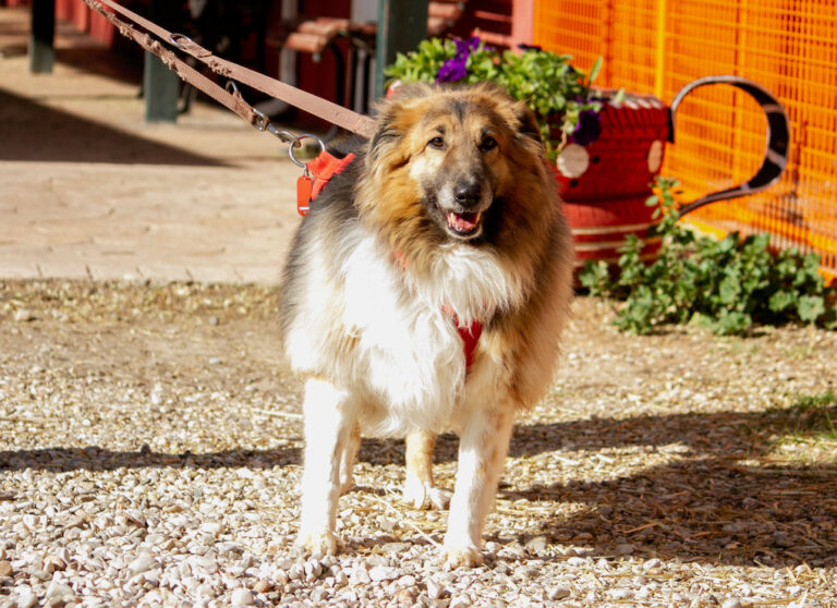 multimedia-foto77969-396-1