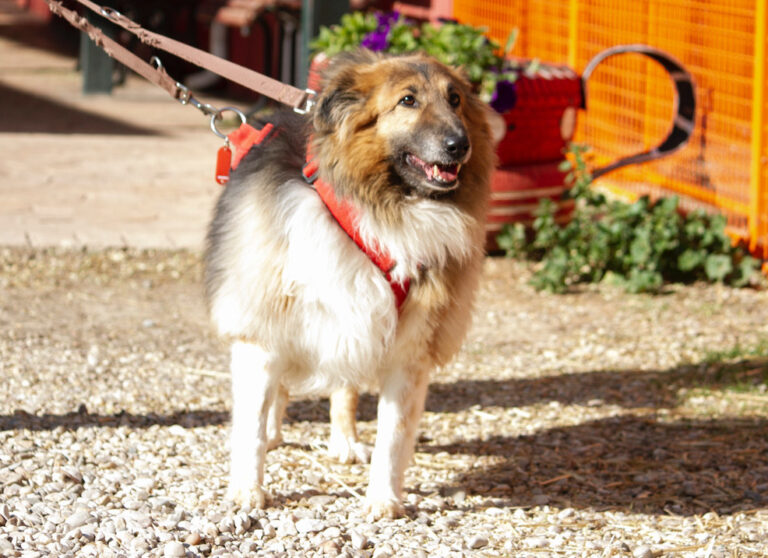 multimedia-foto77970-397-1