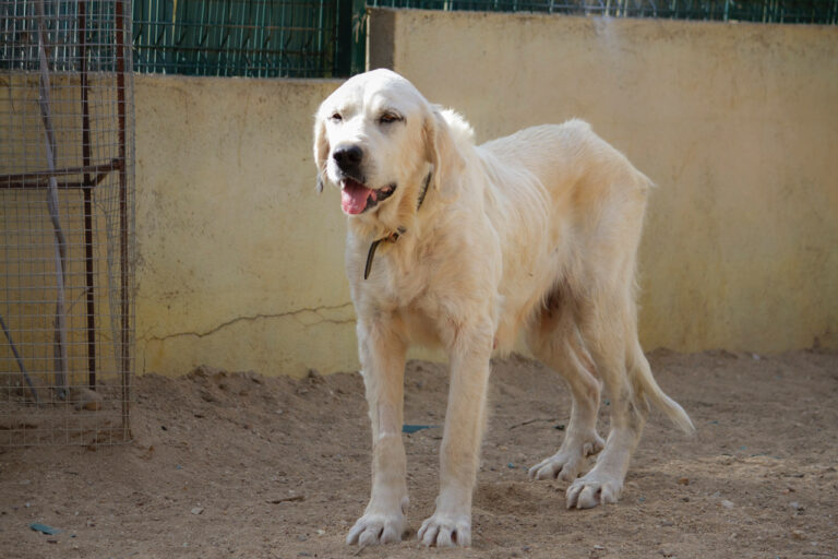 multimedia-foto77974-663-1