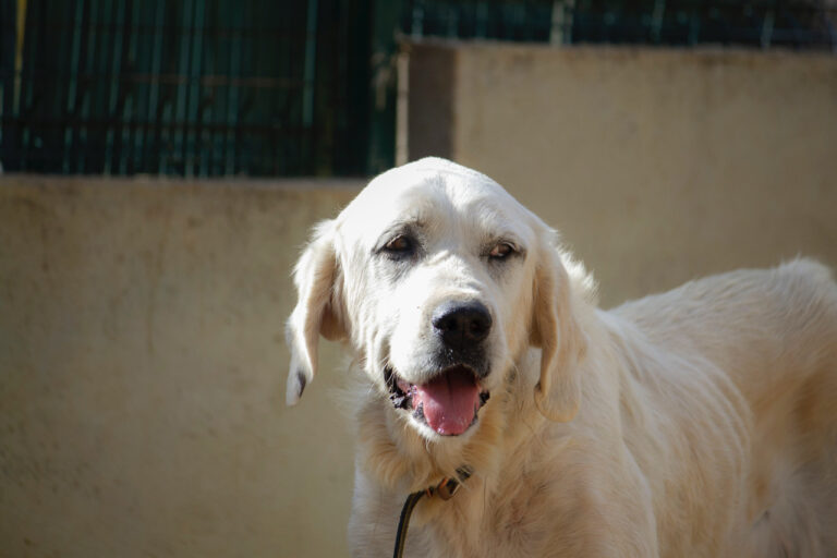 multimedia-foto77975-663-1