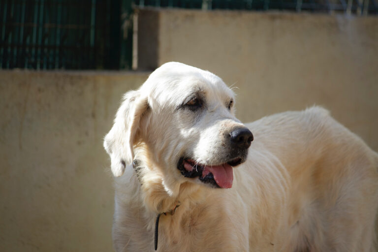 multimedia-foto77976-663-1