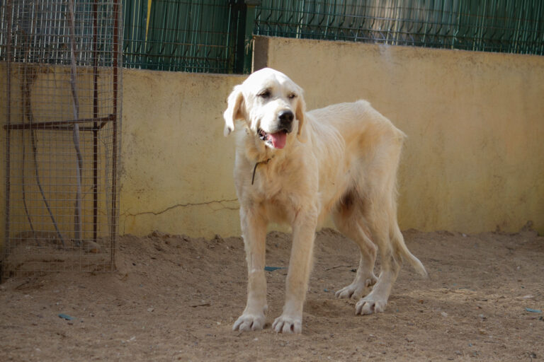 multimedia-foto77977-664-1